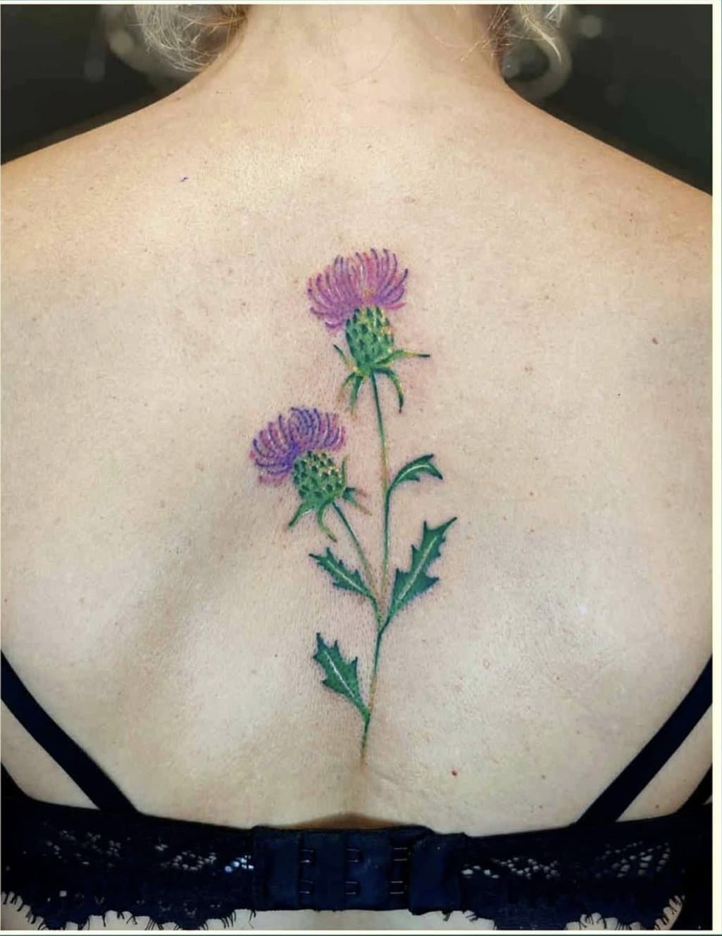 Tatouage fin et coloré le long de la colonne vertébrale : deux chardons violets aux tiges vertes